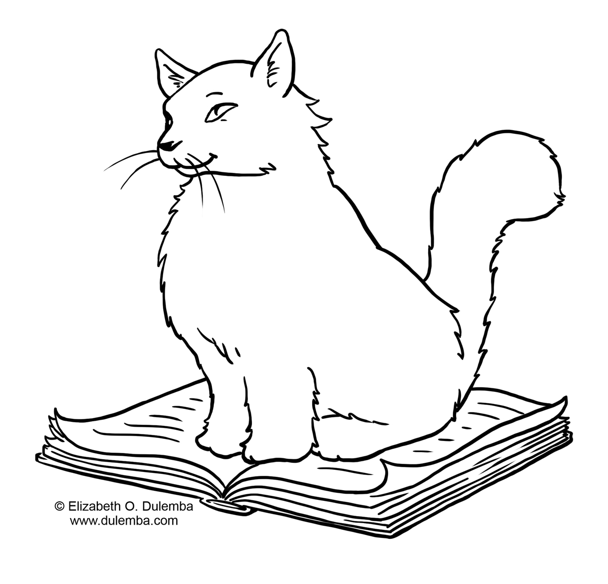 Cats 5